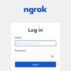 ngrok - Online in One Line